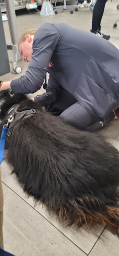 Veterinary Emergency Group image