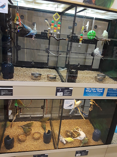 Pet Supply Store «PetSmart», reviews and photos, 16514 SW 88th St, Kendall, FL 33196, USA
