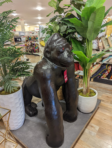 Department Store «HomeGoods», reviews and photos, 10269 E US Hwy 36, Avon, IN 46123, USA