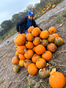 Bednall Pick Your Own Pumpkins Cock Ln, Stafford ST17 0SA, United Kingdom