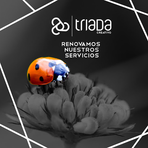 Marketing Digital - Agencia de Publicidad Triada Creativo - Quito