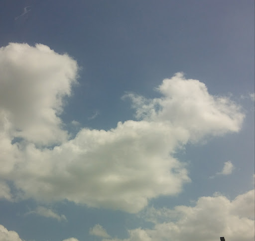 Park «Telge Park», reviews and photos, 12400 Pleasant Grove Rd, Cypress, TX 77429, USA