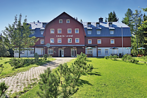 Hotel Lesní Chata Kořenov image