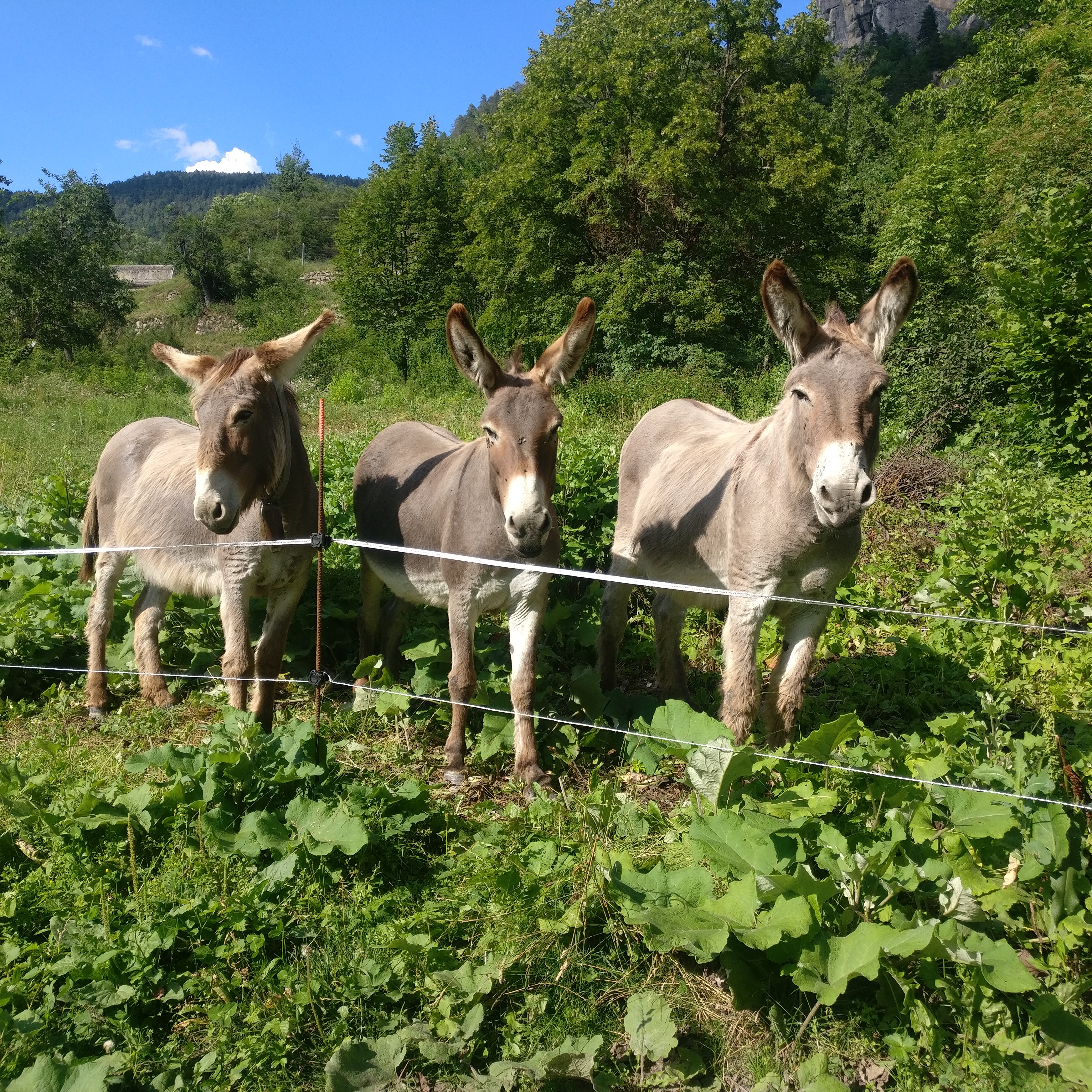 Photo n° 12 de l'avis de Julia.a fait le 05/07/2018 à 17:32