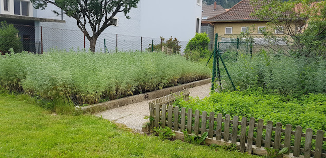 Rezensionen über Droguerie de Fleurier in Val-de-Travers NE - Apotheke