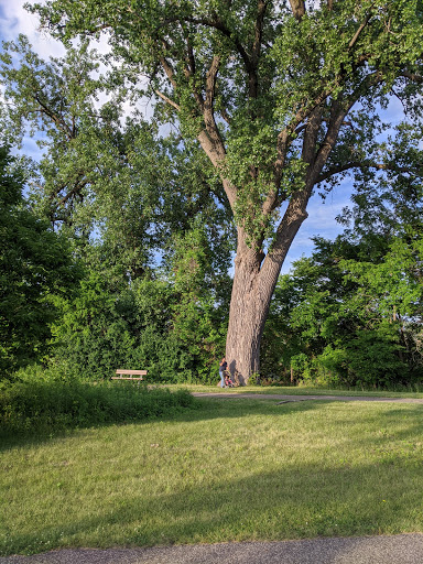 Park «North Mississippi Regional Park», reviews and photos, 4900 Mississippi Ct, Minneapolis, MN 55430, USA