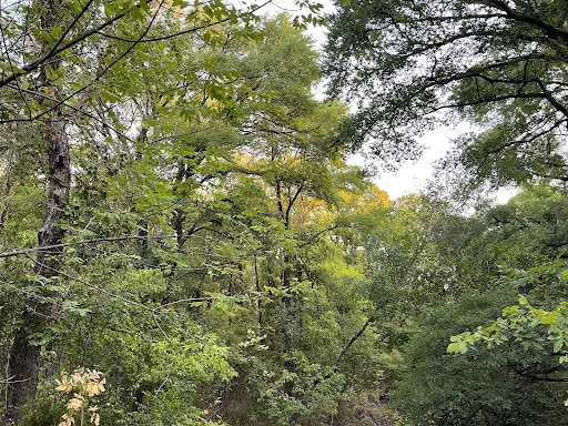 Park «Hoblitzelle Park», reviews and photos, 7500 Red River Dr, Plano, TX 75025, USA