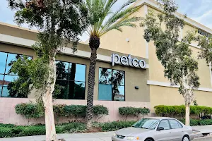 Petco image