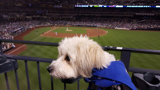 Stadium «Citi Field», reviews and photos, 123-01 Roosevelt Ave, Queens, NY 11368, USA