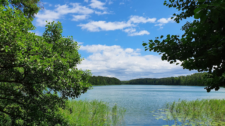 Photos du propriétaire Cottage Remise am Mühlenbach (ehem. Treibholz-Herberge) 17279 Lychen