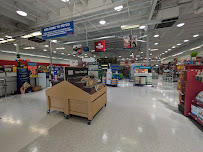 Petco - Photo 5 - Car repair in Lake Elsinore, CA, Murrieta