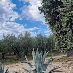 Photo n°10 de l'avis de Mark.a fait le 05/10/2022 à 15:25 sur le  Fruttanoce villas à Torino di Sangro