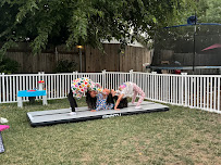 Coo Coo Daycare - Photo 9 - Car repair in Elk Grove, CA, Elk Grove