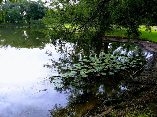 Golf Course «Babe Zaharias Golf Course», reviews and photos, 11412 Forest Hills Dr, Tampa, FL 33612, USA