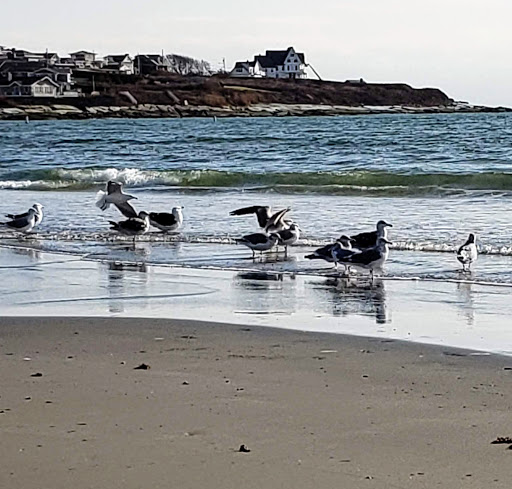 Wedding Venue «Newport Beach House: A Longwood Venue», reviews and photos, 55 Purgatory Rd, Middletown, RI 02842, USA