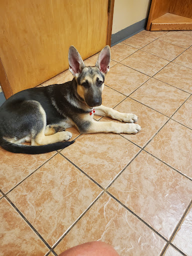 138 16th St, Bedford, IN 47421, USA