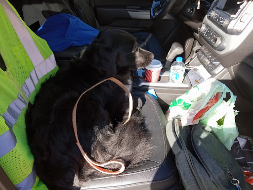 Pet Supply Store «Pet Supplies Plus», reviews and photos, 1676 E Summit St, Crown Point, IN 46307, USA