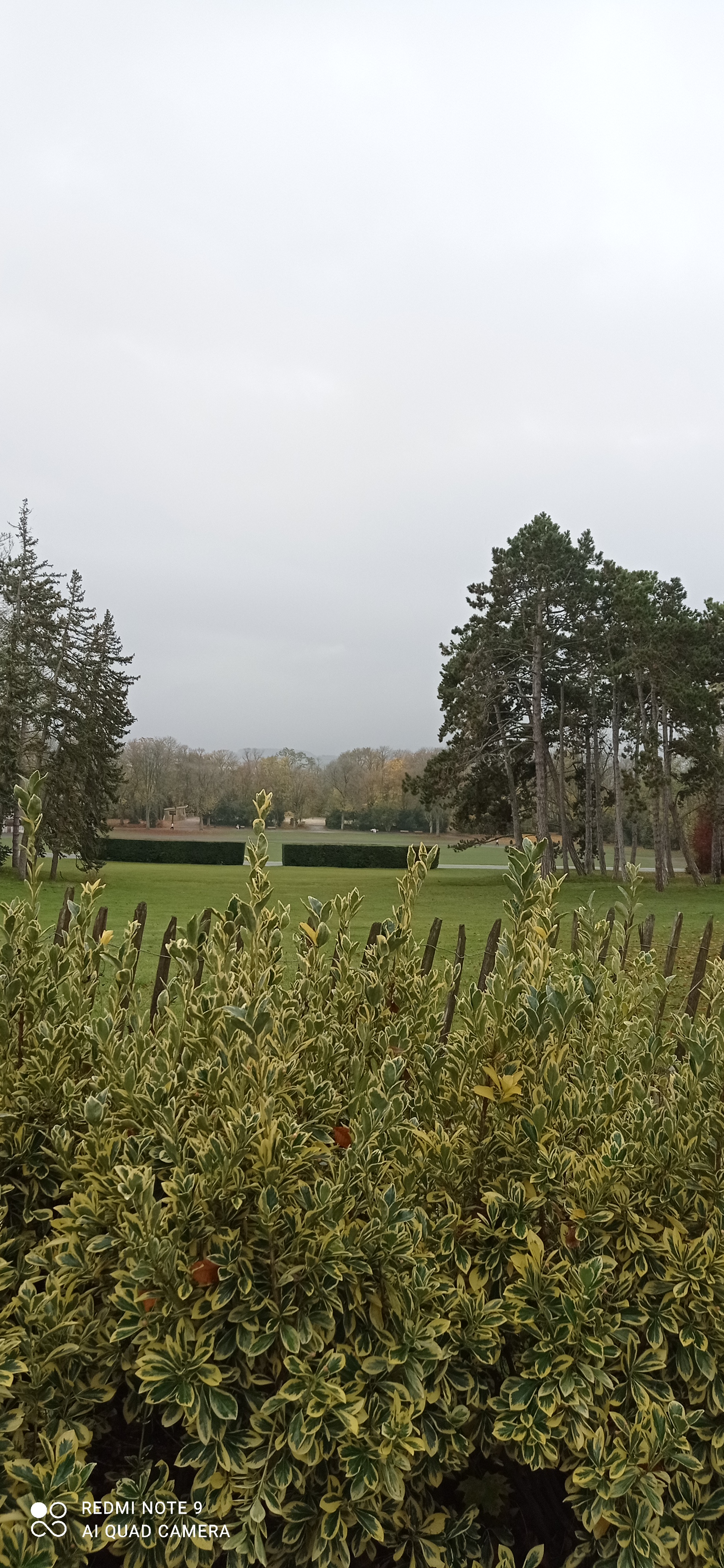 Photo n° 2 de l'avis de Isabelle.i fait le 14/11/2021 à 14:29