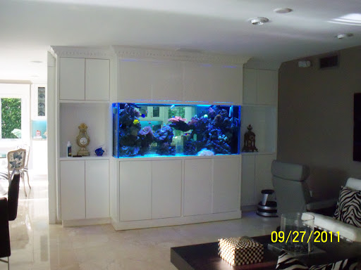 Aquarium Shop «Exotic Aquariums», reviews and photos, 7399 Bird Rd, Miami, FL 33155, USA