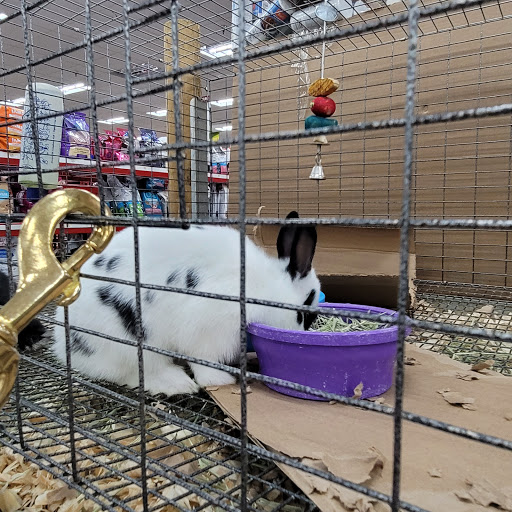 Department Store «Rural King», reviews and photos, 4000 W Bethel Ave, Muncie, IN 47304, USA