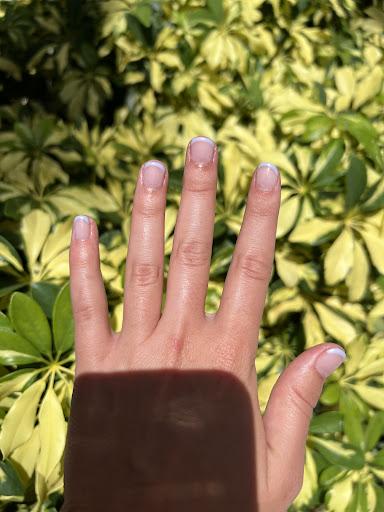 Beauty Salon «Ana Molinari Salon Spa Boutique», reviews and photos, 52 S Palm Ave, Sarasota, FL 34236, USA