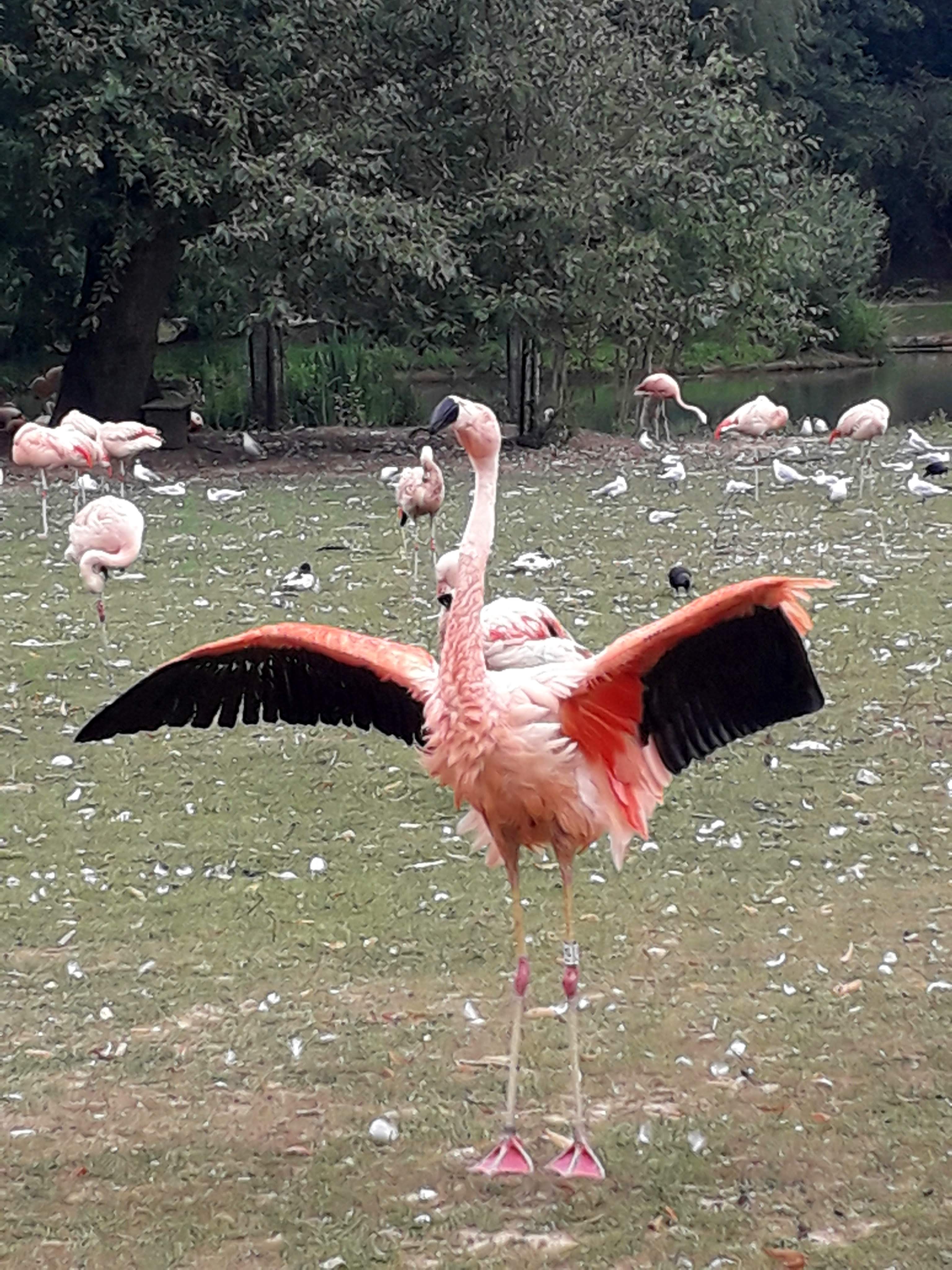 Photo n° 25 de l'avis de Le.o fait le 22/07/2022 à 15:09