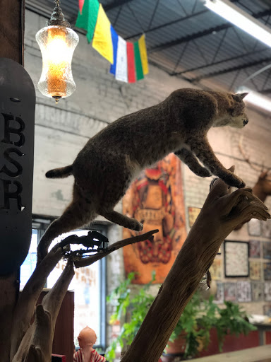 Tattoo Shop «Ironclad Tattoo Gallery», reviews and photos, 194 N 2nd Ave, Saltillo, MS 38866, USA