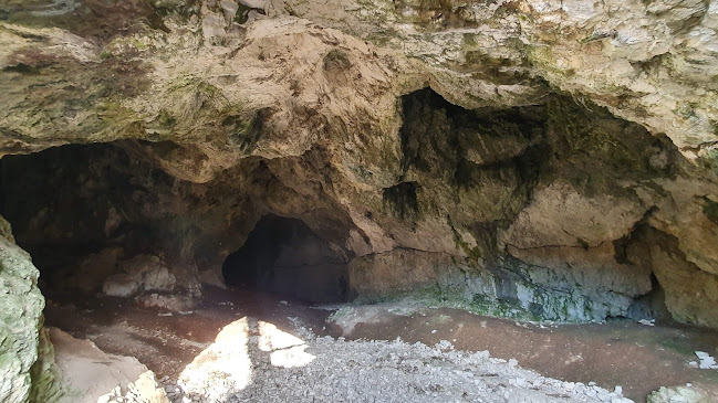 Szeleta-barlang - Múzeum