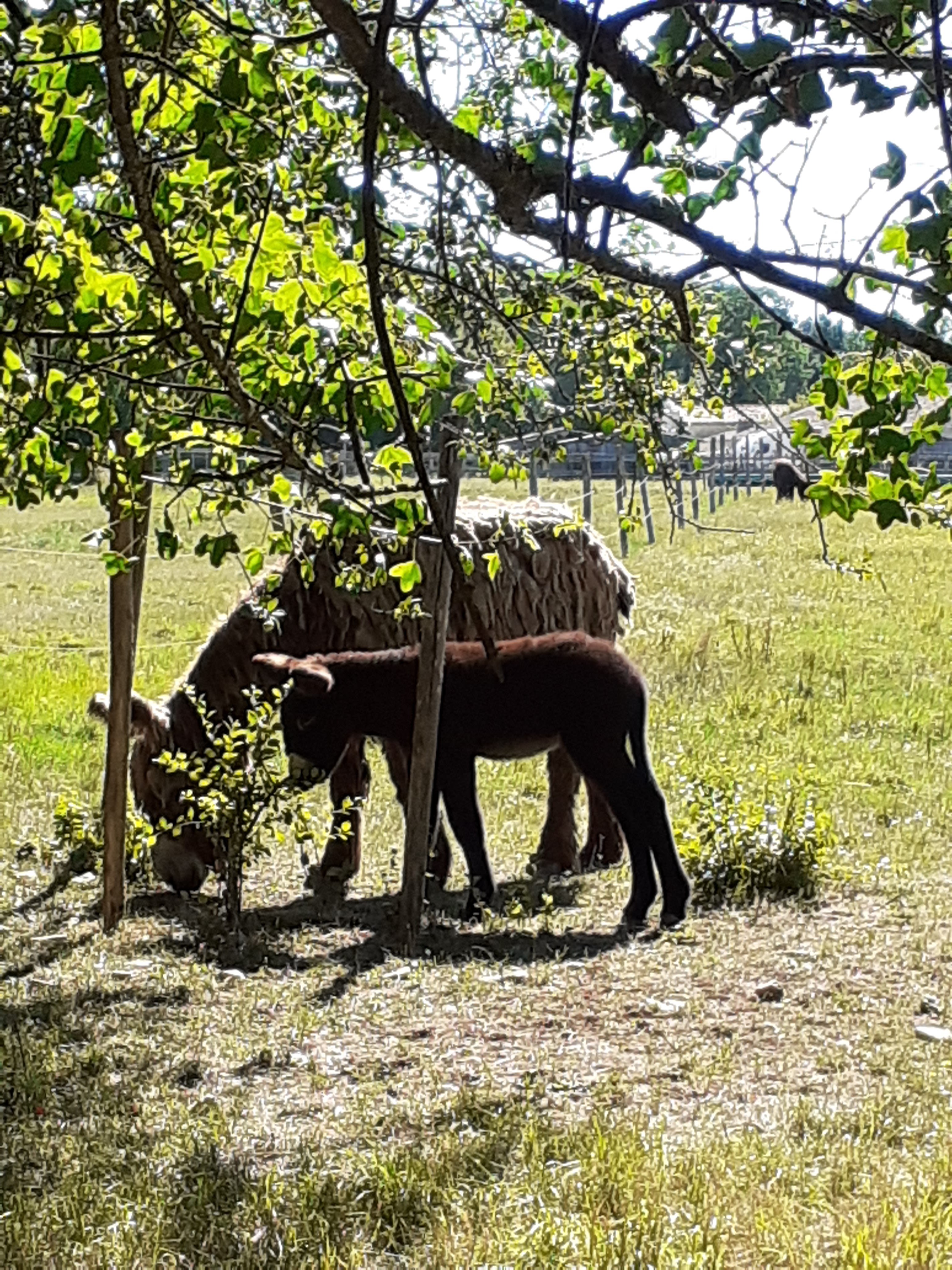 Photo n° 2 de l'avis de Laurence.o fait le 11/07/2022 à 10:17