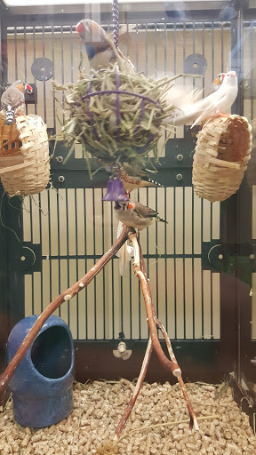 Pet Supply Store «PetSmart», reviews and photos, 7225 Bell Creek Rd Ste 228, Mechanicsville, VA 23111, USA