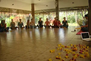 Wise Living Yoga Academy Thailand image