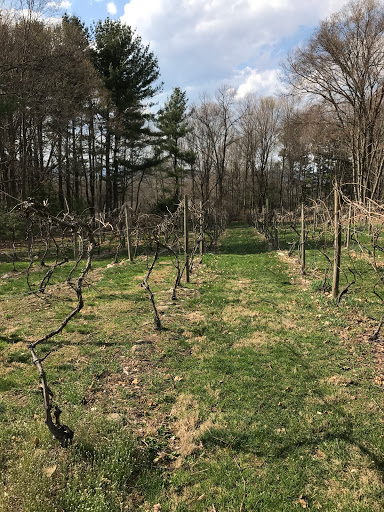 Vineyard «Di Grazia Vineyards & Winery», reviews and photos, 131 Tower Rd, Brookfield, CT 06804, USA