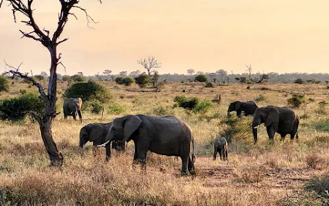 Kruger National Park image
