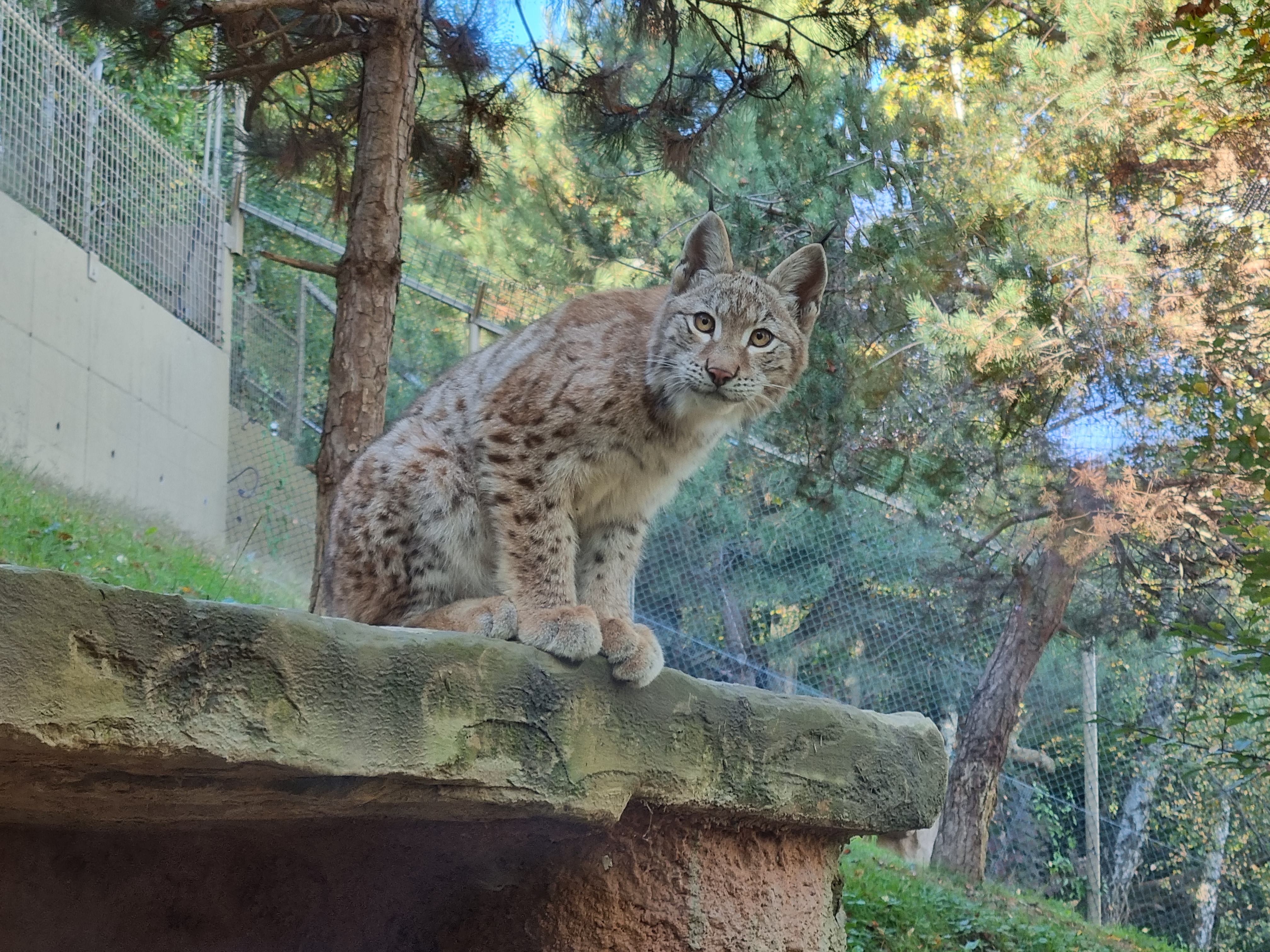 Photo n° 6 de l'avis de mathlcms. fait le 04/11/2021 à 09:55