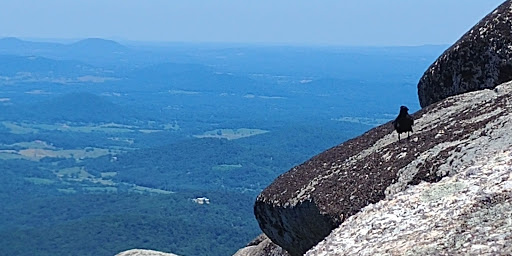 National Park «Shenandoah National Park», reviews and photos