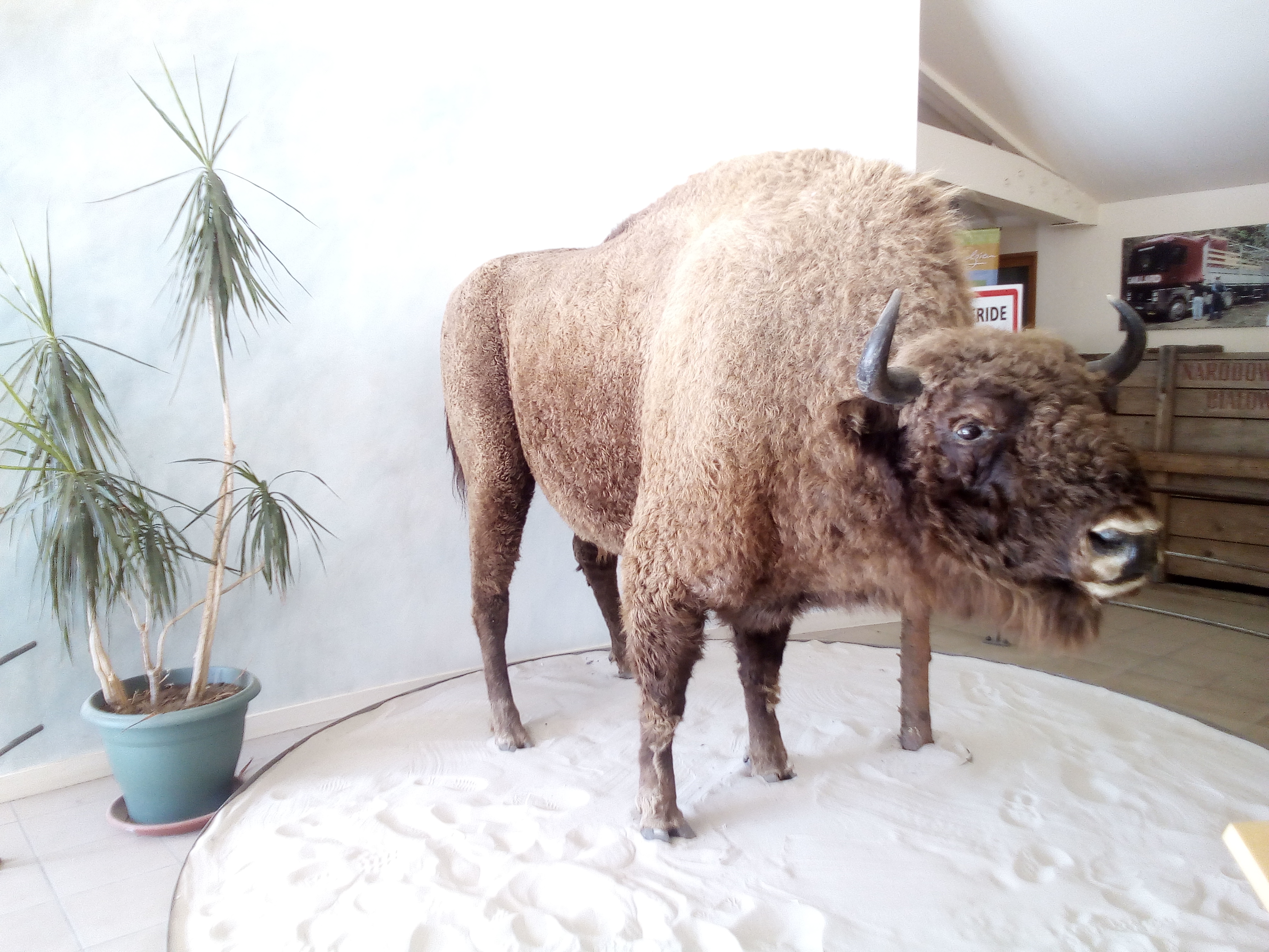 Photo n° 3 de l'avis de Sylvie.e fait le 05/04/2019 à 19:41