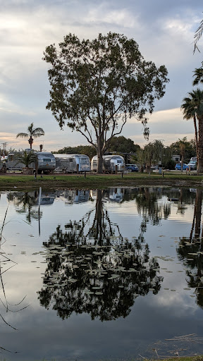 RV Park «Shadow Hills RV Resort», reviews and photos, 40655 Jefferson St, Indio, CA 92203, USA