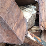 Photo n° 4 de l'avis de V.a fait le 08/01/2023 à 22:09 pour Weyland Parcs Et Jardins à Forbach