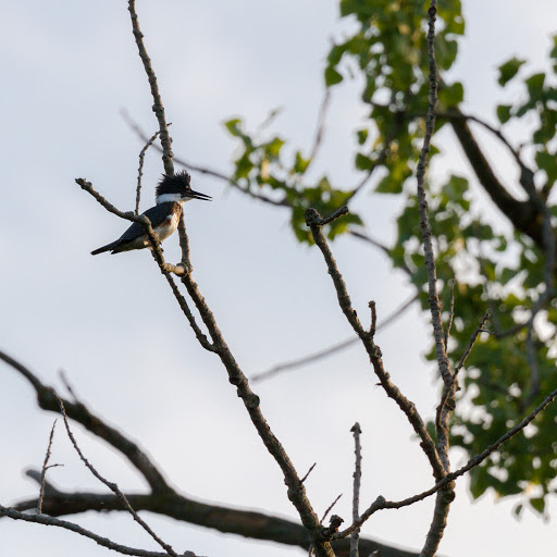 Nature Preserve «Midewin National Tallgrass Prairie», reviews and photos, 30239 S. State Route 53, Wilmington, IL 60481, USA