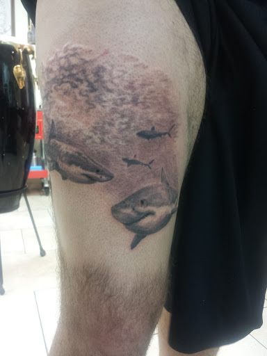 Tattoo Shop «Grove Ink Tattoos», reviews and photos, 3062 Grand Ave, Coconut Grove, FL 33133, USA