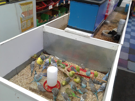 Pet Store «Jules Pet Shop», reviews and photos, 2214 N Milwaukee Ave, Chicago, IL 60647, USA