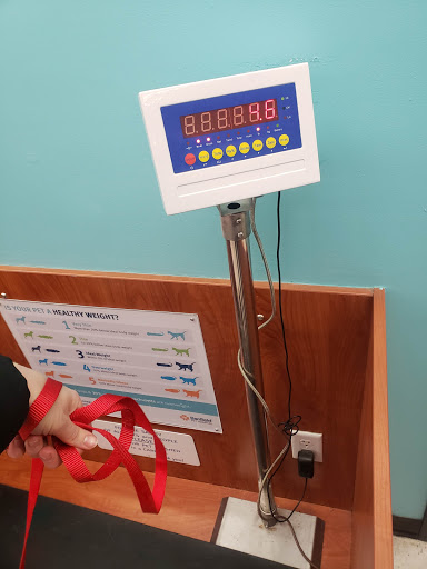 Pet Supply Store «PetSmart», reviews and photos, 5 Mystic View Rd, Everett, MA 02149, USA