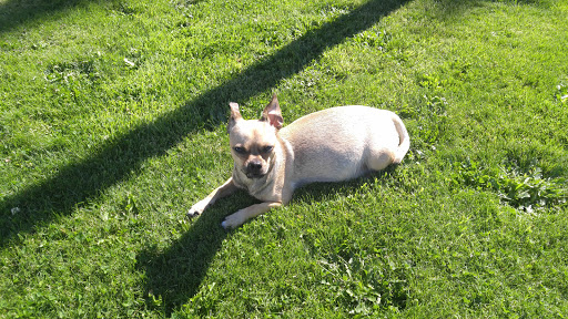 Motorcycle Repair Shop «Motorcycle Warehouse», reviews and photos, 12115 SE 82nd Ave, Portland, OR 97086, USA