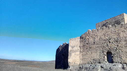 Centro Veterinario Ignacio Gil Gil en Tarazona