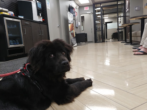 Acura Dealer «Acura of Westchester», reviews and photos, 2155 Palmer Ave, Larchmont, NY 10538, USA