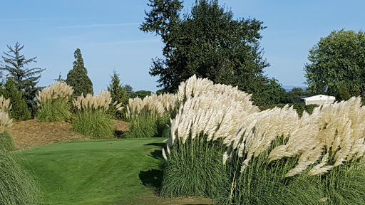 Golf Course «Langdon Farms Golf Club», reviews and photos, 24377 Airport Rd NE #1, Aurora, OR 97002, USA