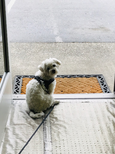 Auto Repair Shop «BMW Service and Repair Kent WA», reviews and photos, 22644 85th Pl S, Kent, WA 98031, USA