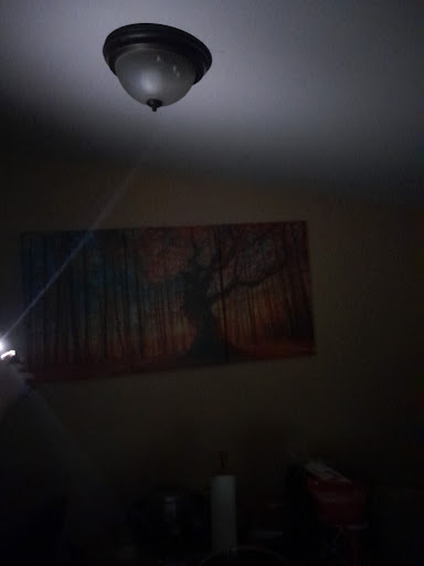 Painter «The Exterior Painters», reviews and photos, 2365 Avon Industrial Dr, Rochester Hills, MI 48309, USA