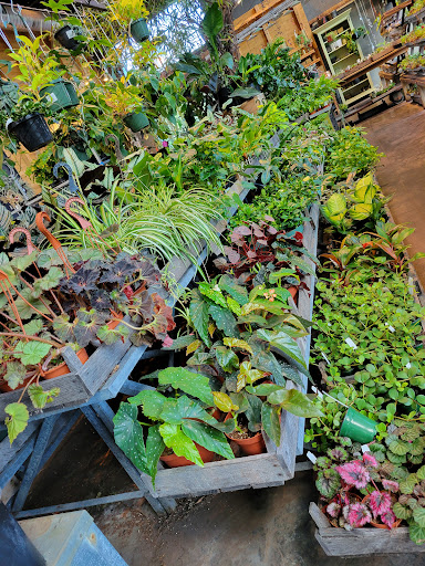 Garden Center «Terrain», reviews and photos, 561 Post Rd E, Westport, CT 06880, USA