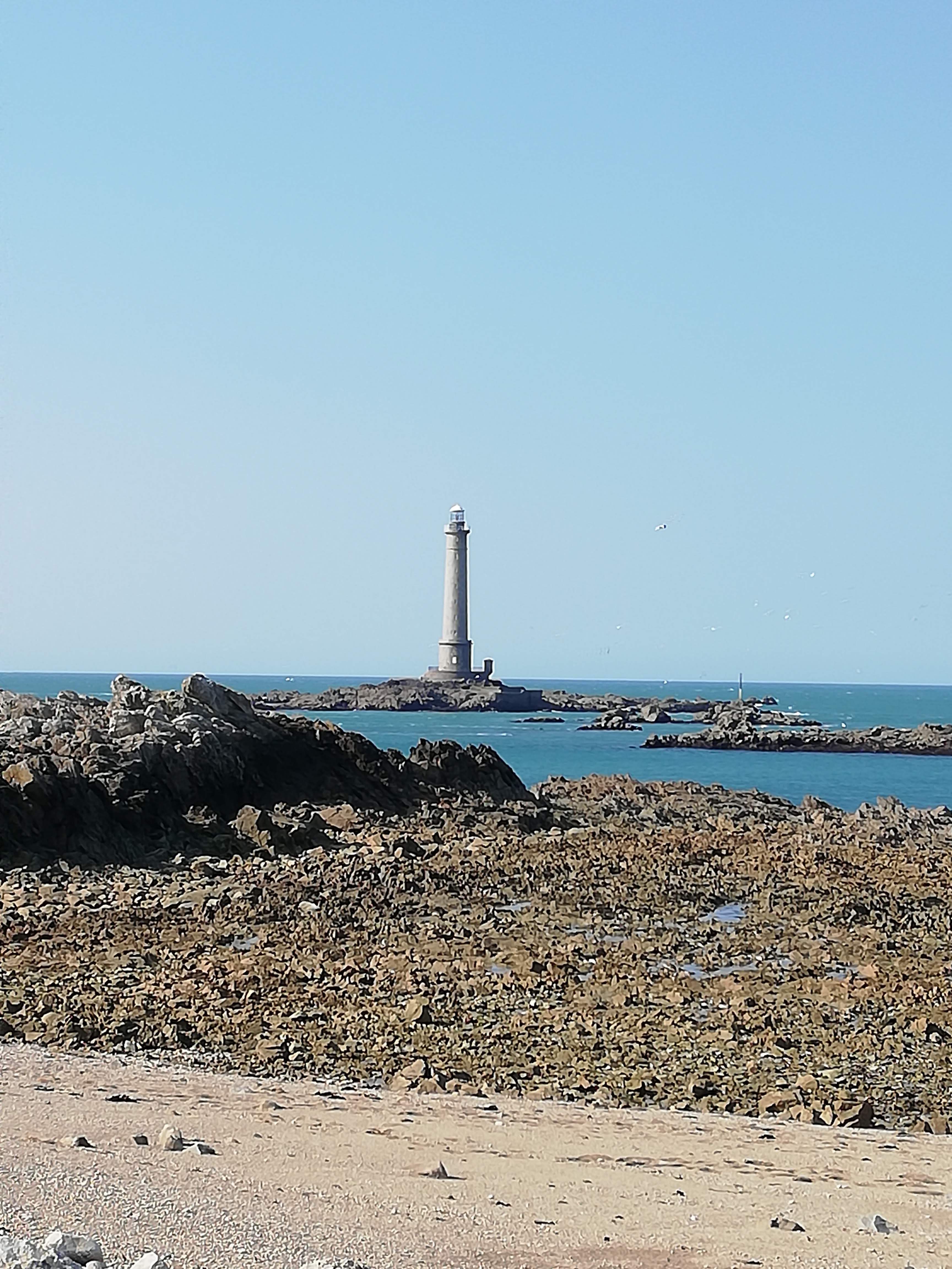 Photo n° 3 de l'avis de Thierry.r fait le 06/09/2021 à 13:21